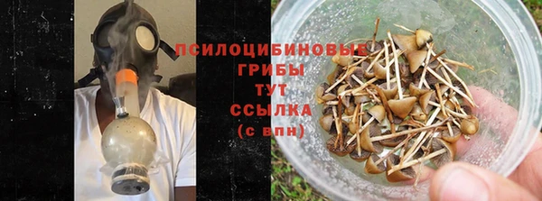 PSILOCYBIN Абдулино